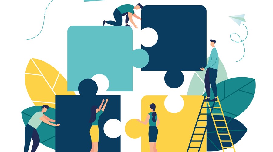 What is the role of Skills Insight as a Jobs and Skills Council (JSC)?